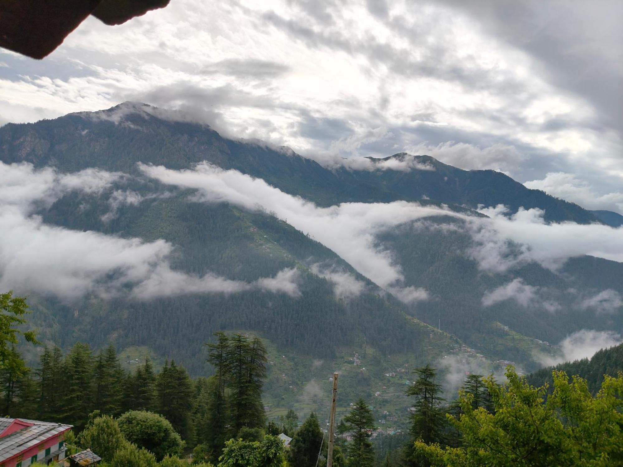 Forest View Cottage Jibhi Dış mekan fotoğraf