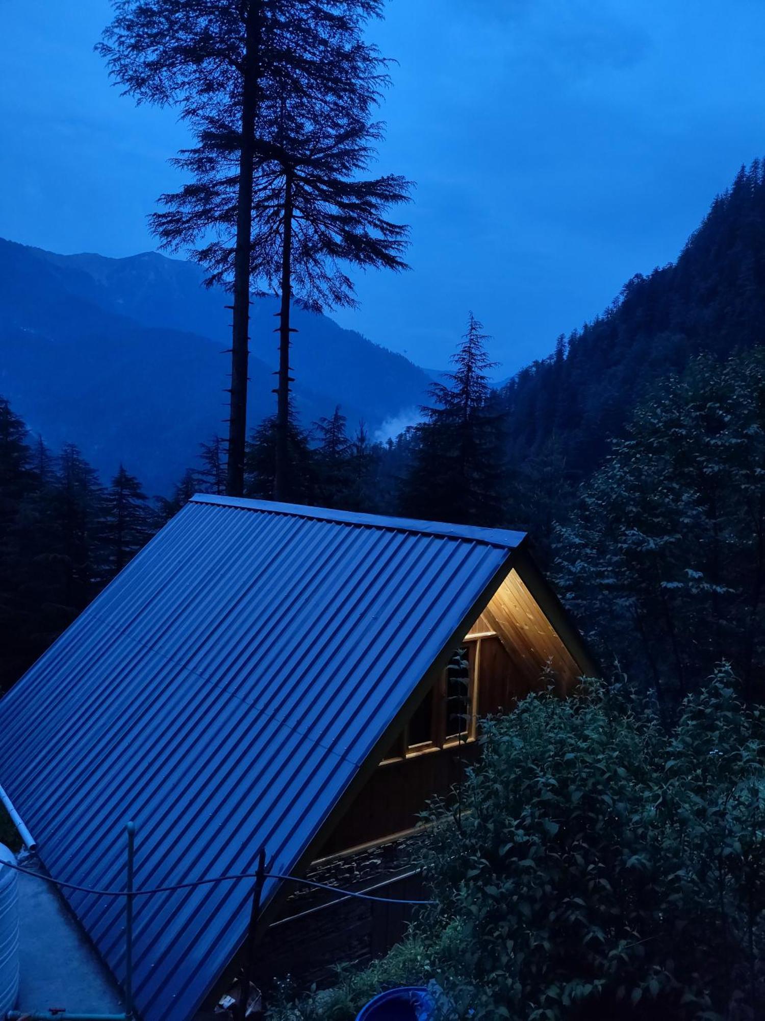 Forest View Cottage Jibhi Dış mekan fotoğraf