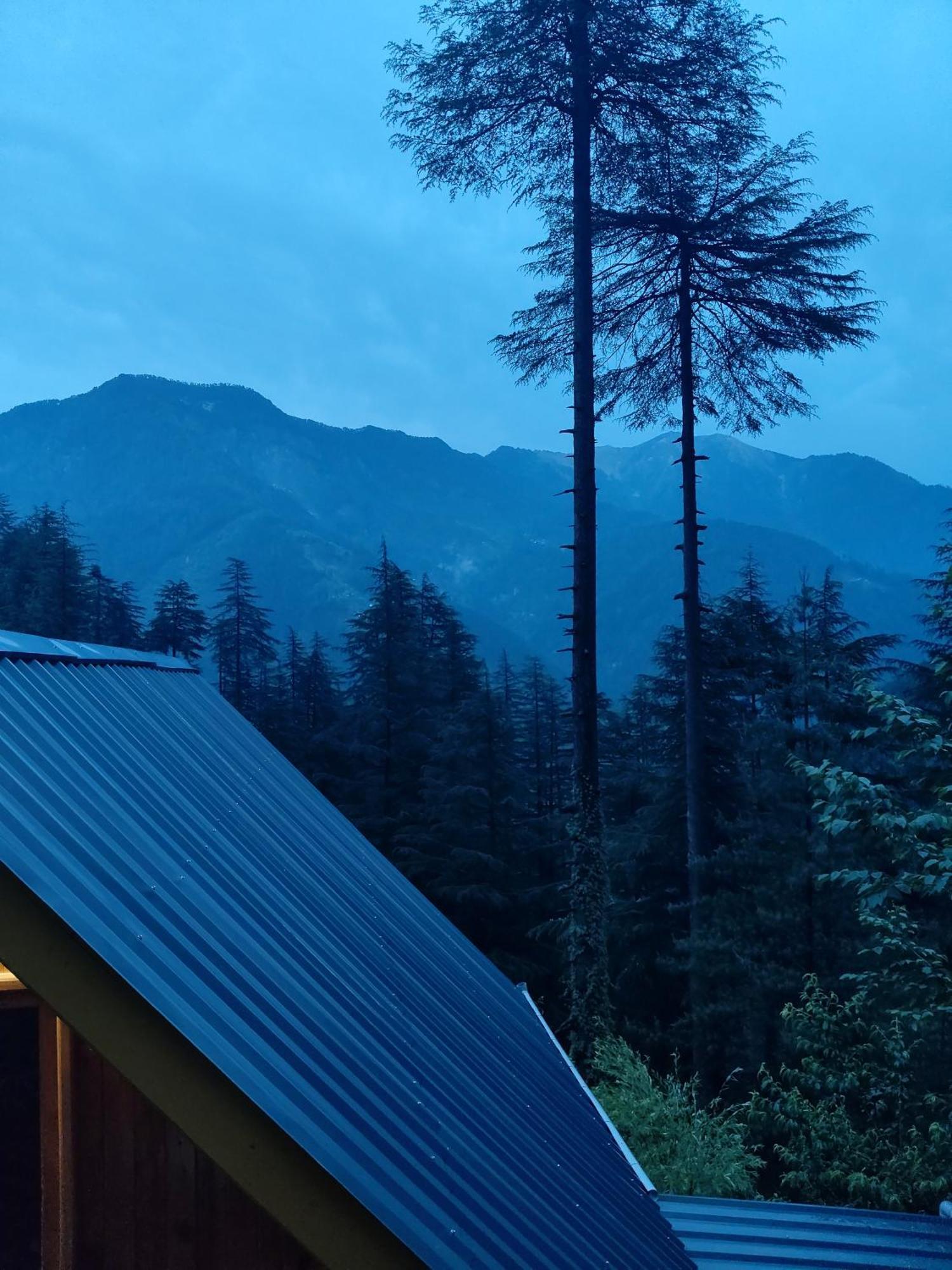 Forest View Cottage Jibhi Dış mekan fotoğraf
