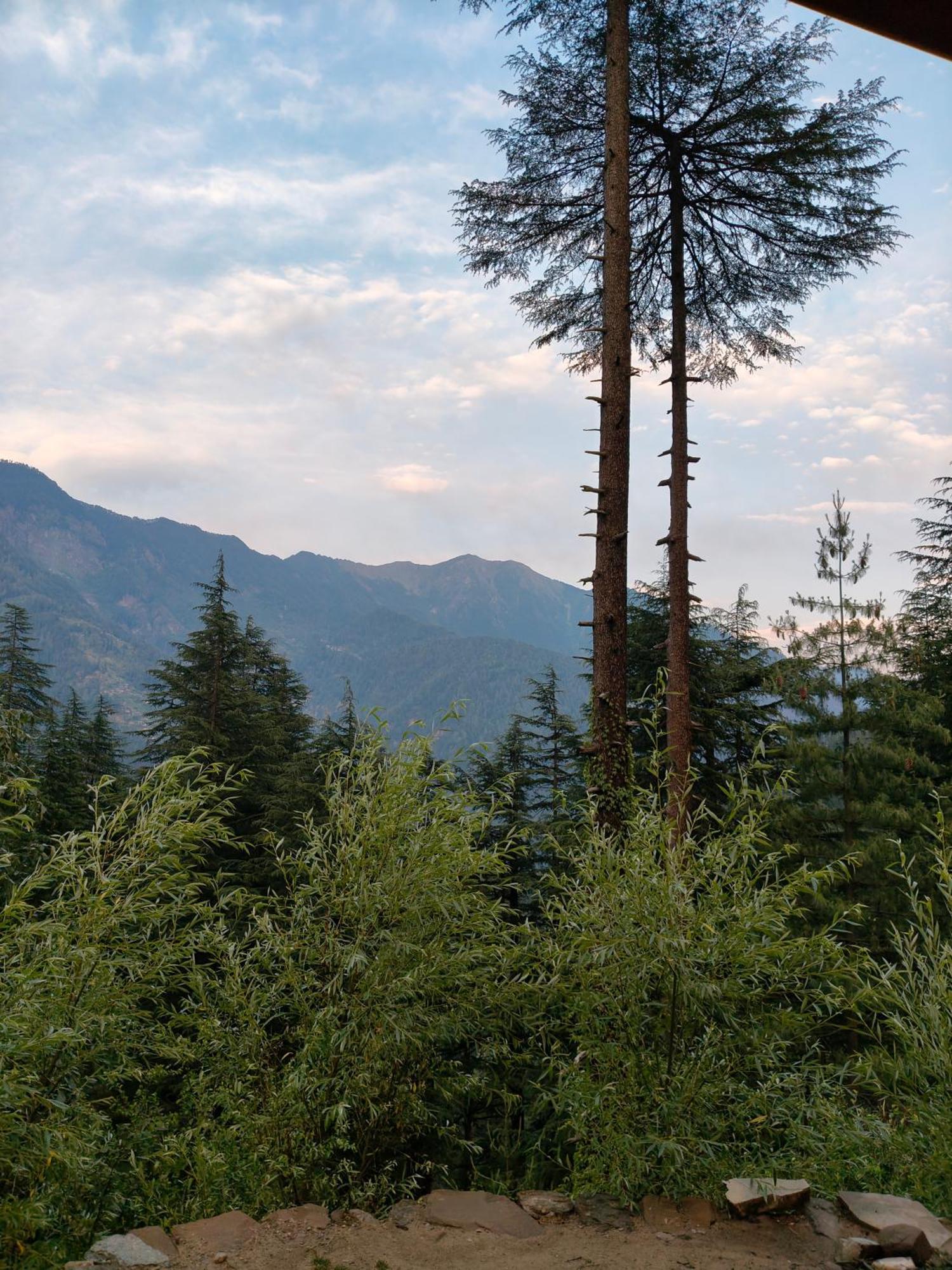 Forest View Cottage Jibhi Dış mekan fotoğraf