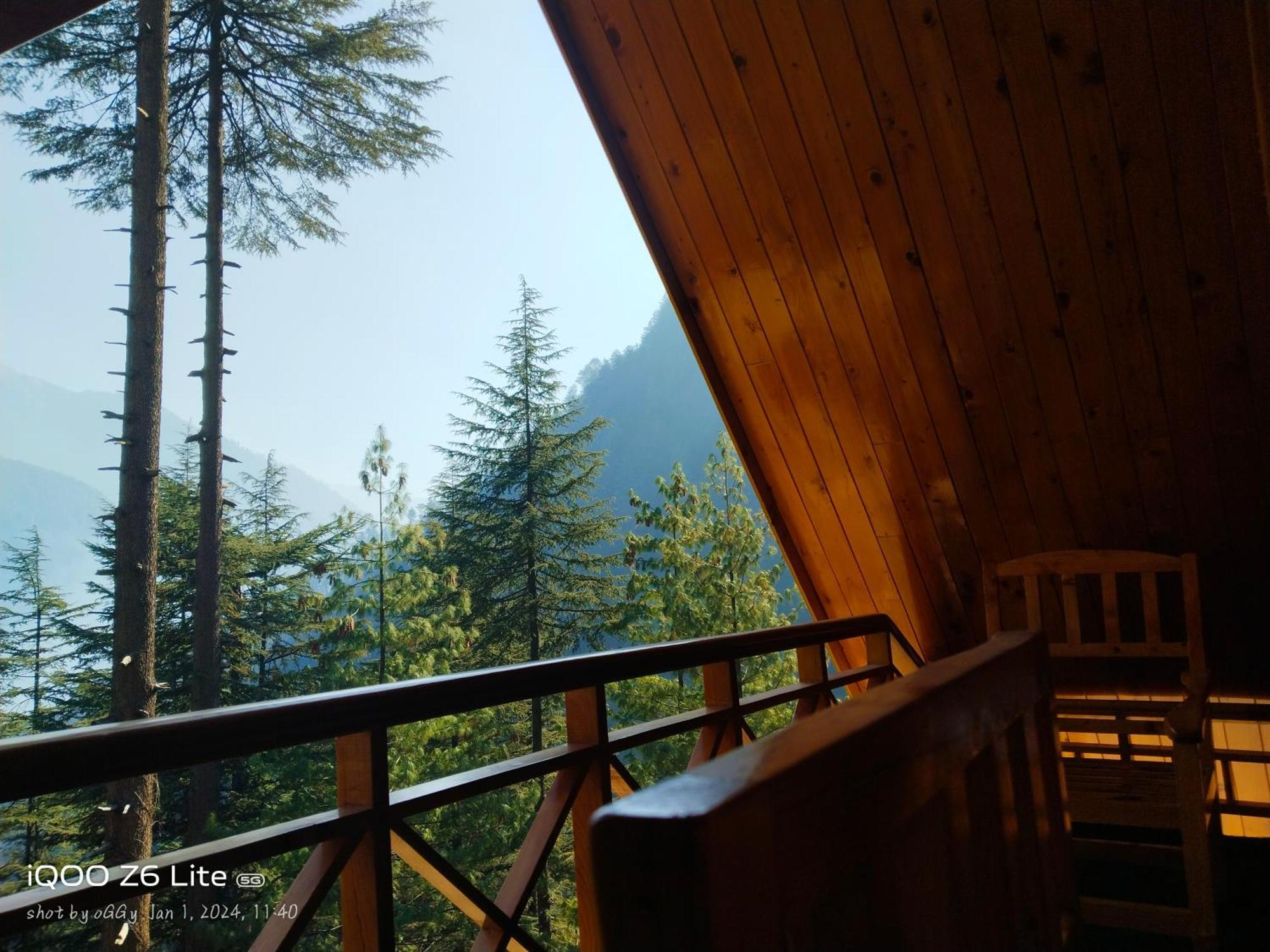Forest View Cottage Jibhi Dış mekan fotoğraf