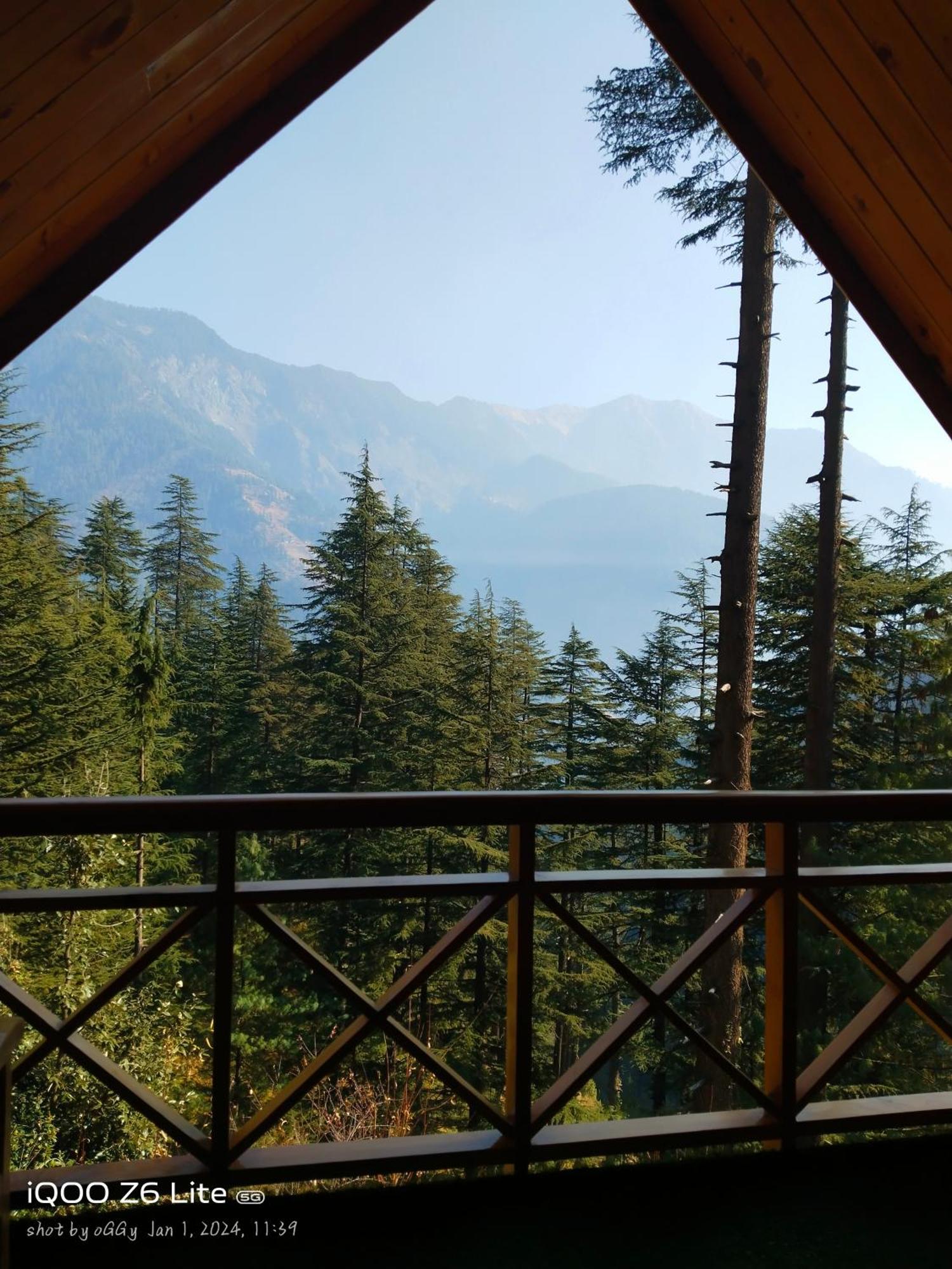 Forest View Cottage Jibhi Dış mekan fotoğraf